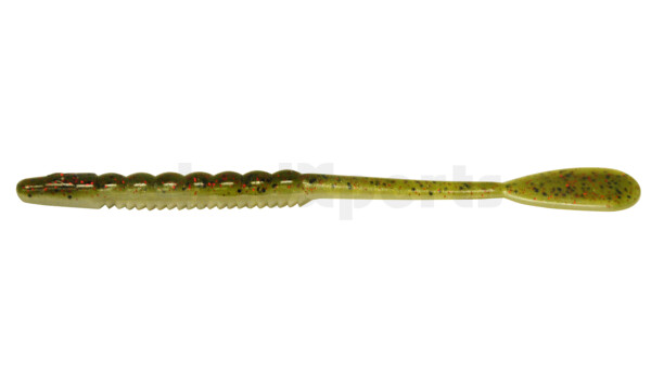 Sugar Cane Worm