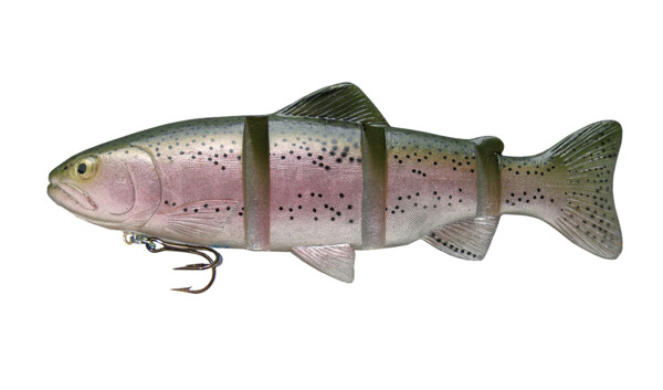 CS-C226SSRT Catch 22 Series 6" langsam sinkend Rainbow Trout