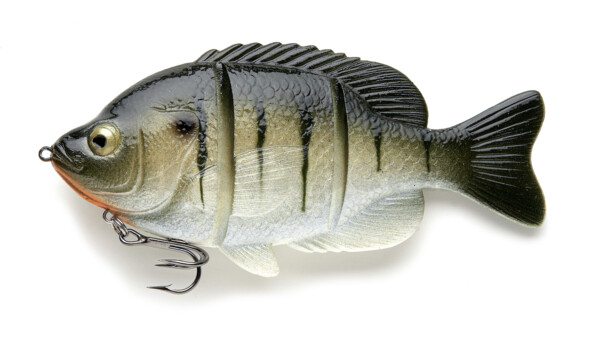 PLNAT15-SF Castaic-Platinum Naturals 15cm - Sunfish fast sinking