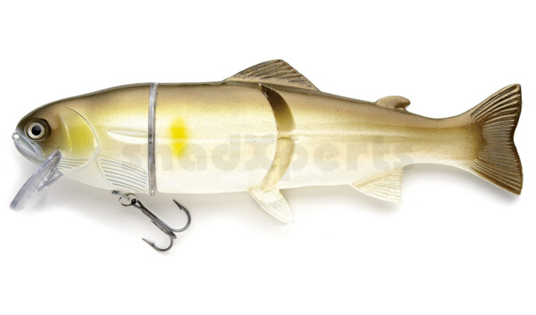 CS20A Castaic Real Bait 8"(20cm) AYU - floating