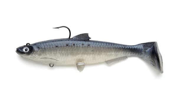SBS18BS Castaic-Swim-Bait-Sardine-18cm-Blue Shad sinking