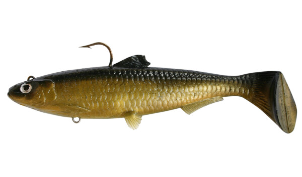 SBS18GS Castaic-Swim-Bait-Sardine-18cm-Gold. Shiner sinking