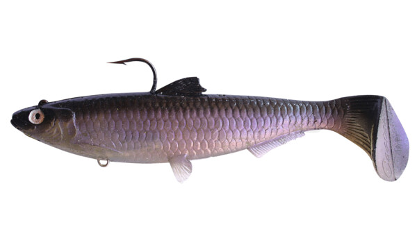 SBS18MS Castaic-Swim-Bait-Sardine-18cm-Mad Shad sinking