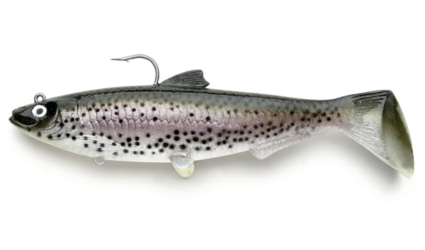 SBS18RT Castaic-Swim-Bait-Sardine-18cm-RainbowTrout sinking