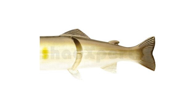 CS20E-A Ersatzkörper für Castaic-Real-Bait - 8" (20cm) AYU