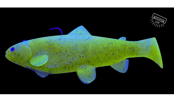 SBT2566 Castaic Swim Bait Trout 2.0 - 10" (25cm) Fast sinking chartreuse pepper glitter