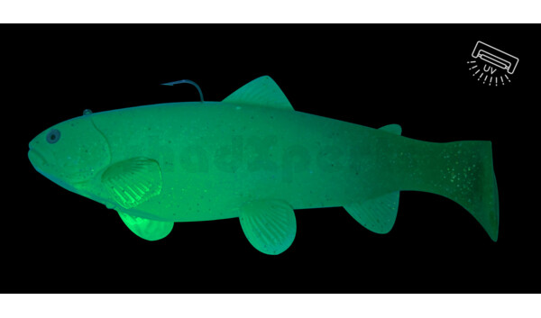 SBT25GMOC Castaic Swim Bait Trout 2.0 - 10" (25cm) Fast sinking Motoroil Classic