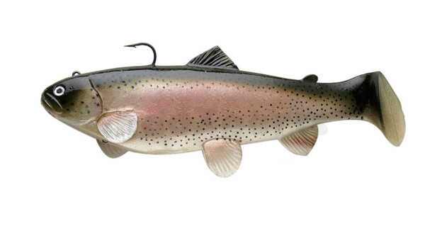 SBT25RT Castaic Swim Bait Trout 2.0 - 10" (25cm) Fast sinking Rainbow Trout