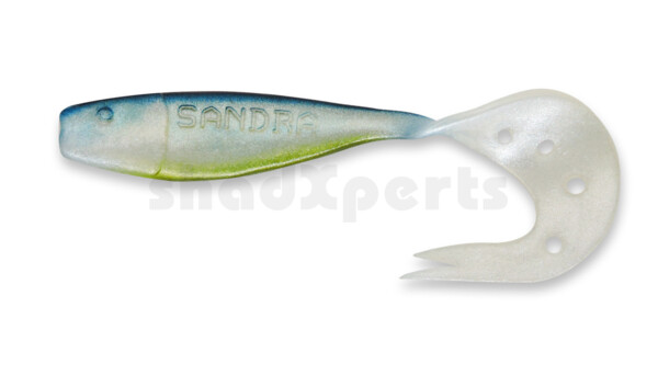 006021011 Sandra 4,5" ( ca. 12 cm) perlweiss / blau