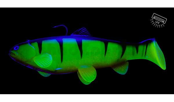 SBT25RPO Castaic Swim Bait Trout 2.0 - 10" (25cm) Fast sinking Reno Perch Orange