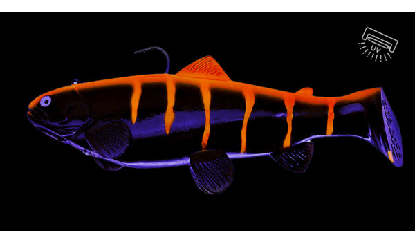 SBT25BO Castaic Swim Bait Trout 2.0 - 10" (25cm) Fast sinking Black Orange