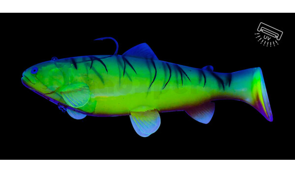 SBT25YFT Castaic Swim Bait Trout 2.0 - 10" (25cm) Fast sinking Yellow Firetiger