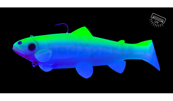 SBT25BFG Castaic Swim Bait Trout 2.0 - 10" (25cm) Fast sinking Blue Fire Gill