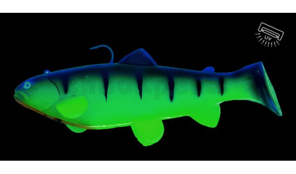 SBT25CH Castaic Swim Bait Trout 2.0 - 10" (25cm) Fast sinking Chartreuse