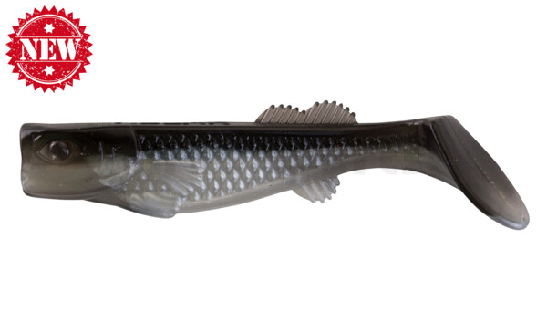 000708B016 California 3" (ca. 8,0 cm) white / black