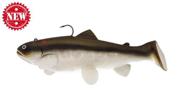 SBT25RTC Castaic Swim Bait Trout 2.0 - 10" (25cm) Fast sinking Red Tail Chub