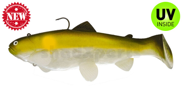 SBT25A Castaic Swim Bait Trout 2.0 - 10" (25cm) Fast sinking AYU