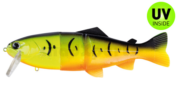 CS20FT Castaic Real Bait 8"(20cm) Fire Tiger - floating