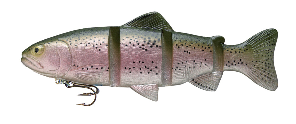 CS-C226SSRT Catch 22 Series 6" langsam sinkend Rainbow Trout