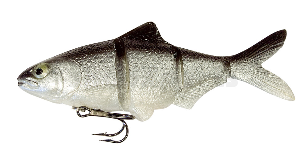 CS-C226SSSS Catch 22 Series 6" langsam sinkend Silver Shiner