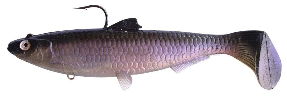 SBS18MS Castaic-Swim-Bait-Sardine-18cm-Mad Shad sinking