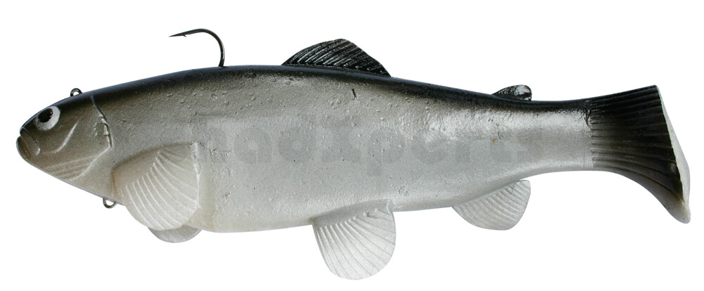 SBT20CI Castaic-Swim-Bait-Trout - 8" (20cm) sinking im Hartschalenblister CISCO