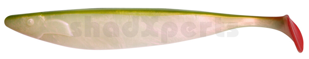 000430016 Megalodon 12" (ca. 30,0 cm) perl / grün