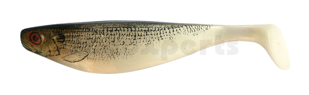 R423-NS USA Printer 9" (ca. 23,0 cm) Weißfisch