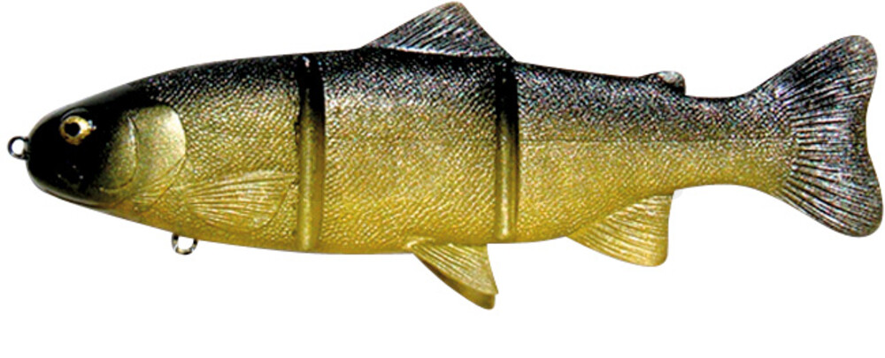 PL20GS Castaic-Platinum 20,5 cm - Golden Shiner fast sinking