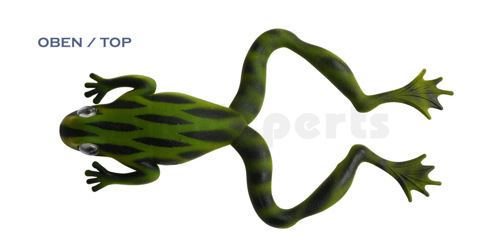 NF-01 Nature Frog 5" (ca. 11,5 cm) Bauch:perlweiss,Rücken:dunkelgrün-schwarz gestreift