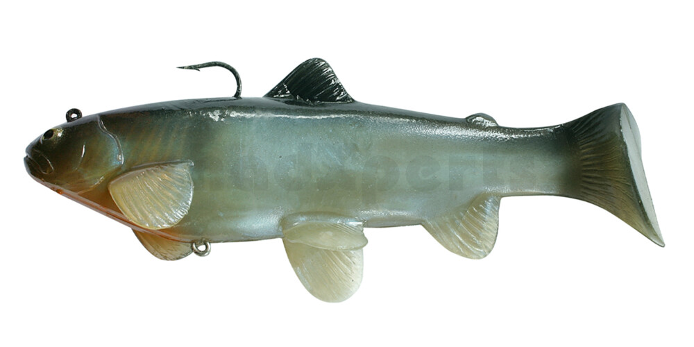 SBT20BG Castaic-Swim-Bait-Trout - 8" (20cm) sinking im Hartschalenblister Blue Gill