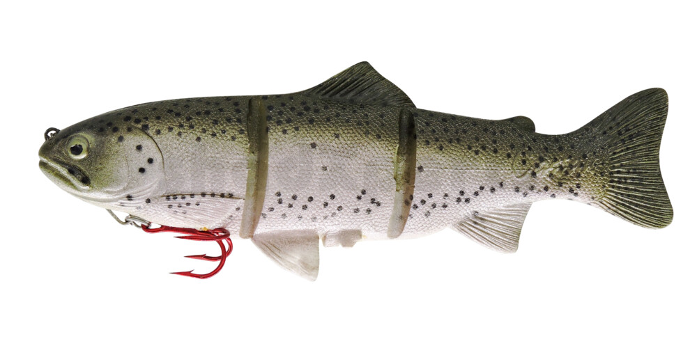 PL20RT Castaic-Platinum 20,5 cm - Rainbow Trout fast sinking