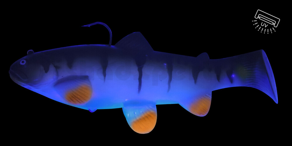 SBT25PE Castaic Swim Bait Trout 2.0 - 10" (25cm) Fast sinking Perch