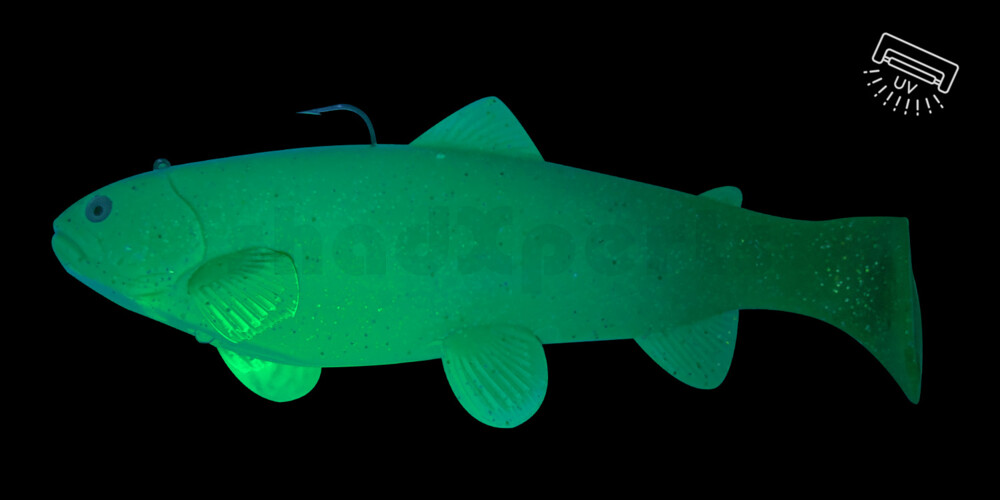 SBT25GMOC Castaic Swim Bait Trout 2.0 - 10" (25cm) Fast sinking Motoroil Classic