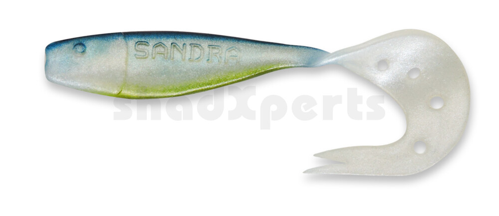 006021011 Sandra 4,5" ( ca. 12 cm) perlweiss / blau