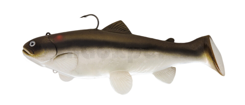 SBT25RTC Castaic Swim Bait Trout 2.0 - 10" (25cm) Fast sinking Red Tail Chub