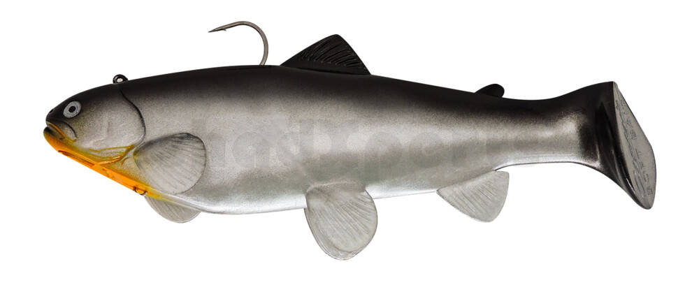 SBT25CI Castaic Swim Bait Trout 2.0 - 10" (25cm) Fast sinking CISCO