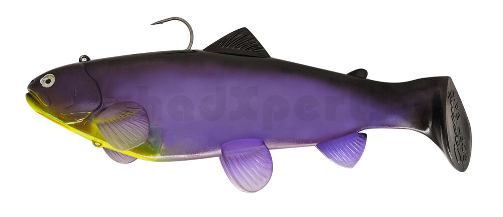 SBT25MS Castaic Swim Bait Trout 2.0 - 10" (25cm) Fast sinking Mad Shad