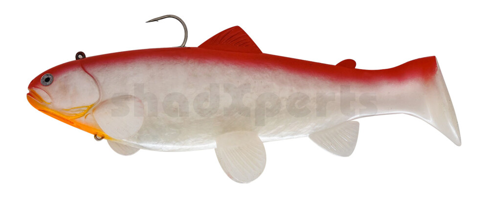 SBT25RD Castaic Swim Bait Trout 2.0 - 10" (25cm) Fast sinking Red Shad