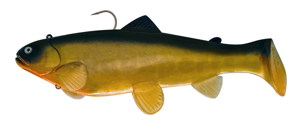 SBT25GS Castaic Swim Bait Trout 2.0 - 10" (25cm) Fast sinking Golden Shiner