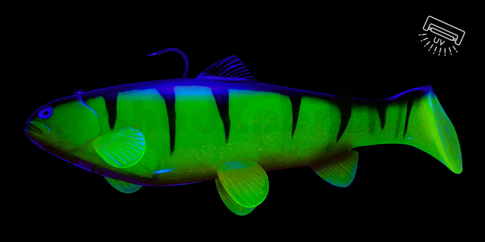 SBT25RPO Castaic Swim Bait Trout 2.0 - 10" (25cm) Fast sinking Reno Perch Orange