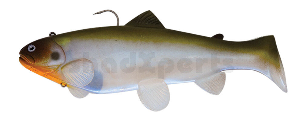 SBT25BGBA Castaic Swim Bait Trout 2.0 - 10" (25cm) Fast sinking Blue Gill Brown Amber