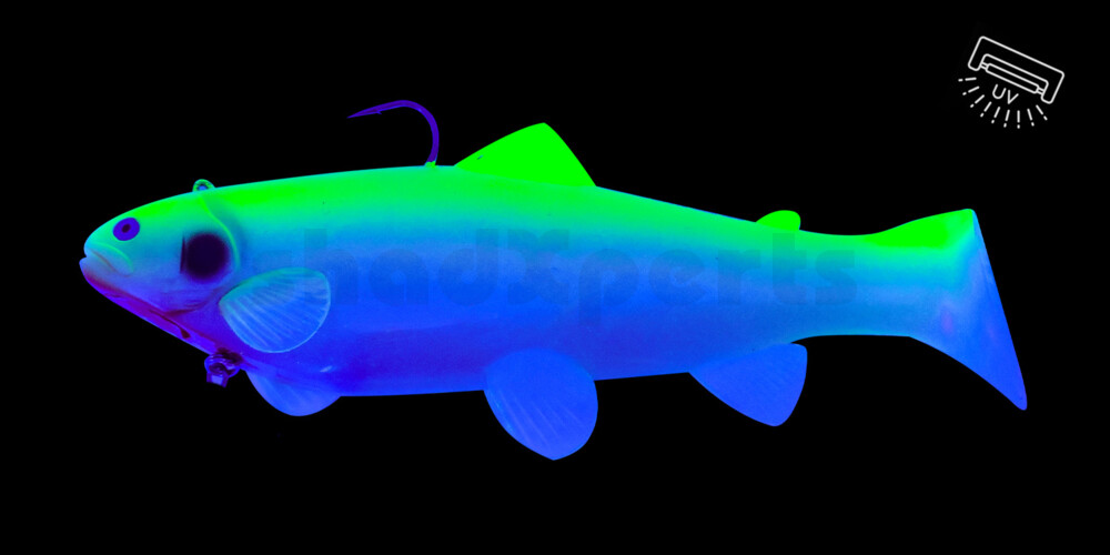 SBT25BFG Castaic Swim Bait Trout 2.0 - 10" (25cm) Fast sinking Blue Fire Gill