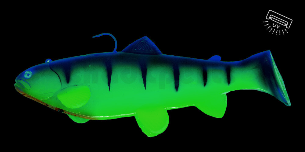 SBT25CH Castaic Swim Bait Trout 2.0 - 10" (25cm) Fast sinking Chartreuse