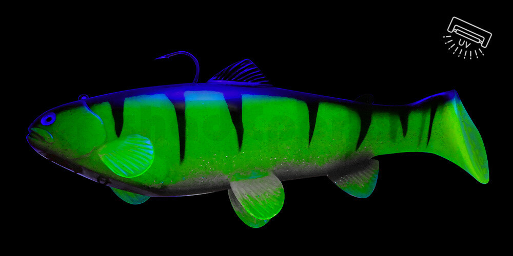 SBT25RPW Castaic Swim Bait Trout 2.0 - 10" (25cm) Fast sinking Reno Perch White