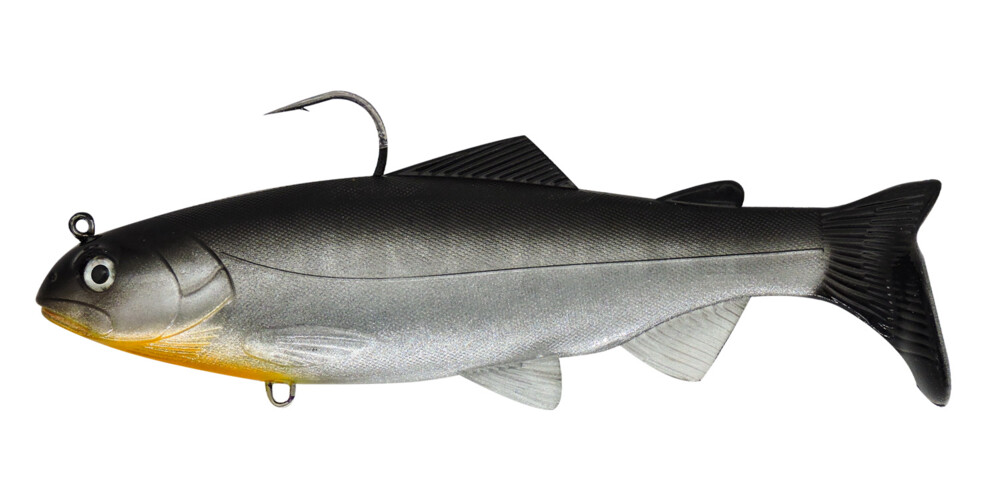 BH20CIM SX Bass Hunter´s Amerikaner 8" (ca. 20cm) Cisco M -  medium fall 2,5 m - 5 m