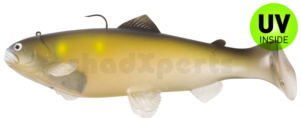 SBT20GA Castaic-Swim-Bait-Trout - 8" (20cm) sinking im Hartschalenblister Ghost Ayu
