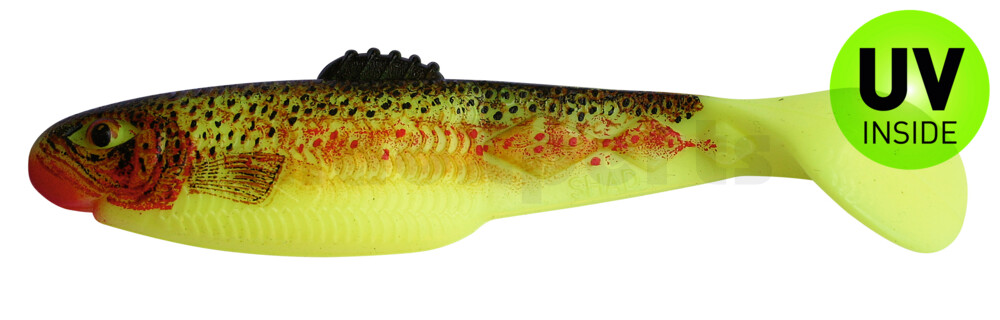 001410055F Diamond Shad NATURE 3,5" (ca. 10,0 cm) fluogelb / Bachforelle
