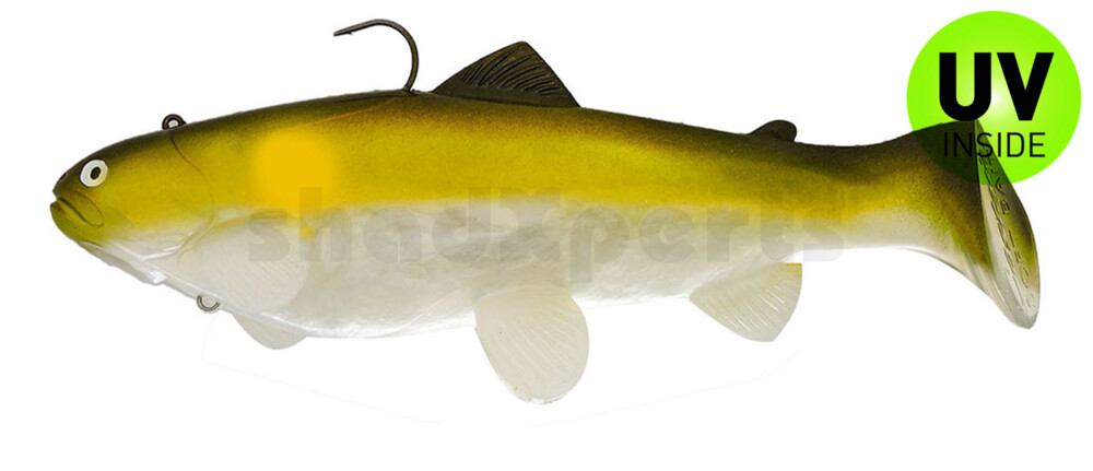 SBT25A Castaic Swim Bait Trout 2.0 - 10" (25cm) Fast sinking AYU