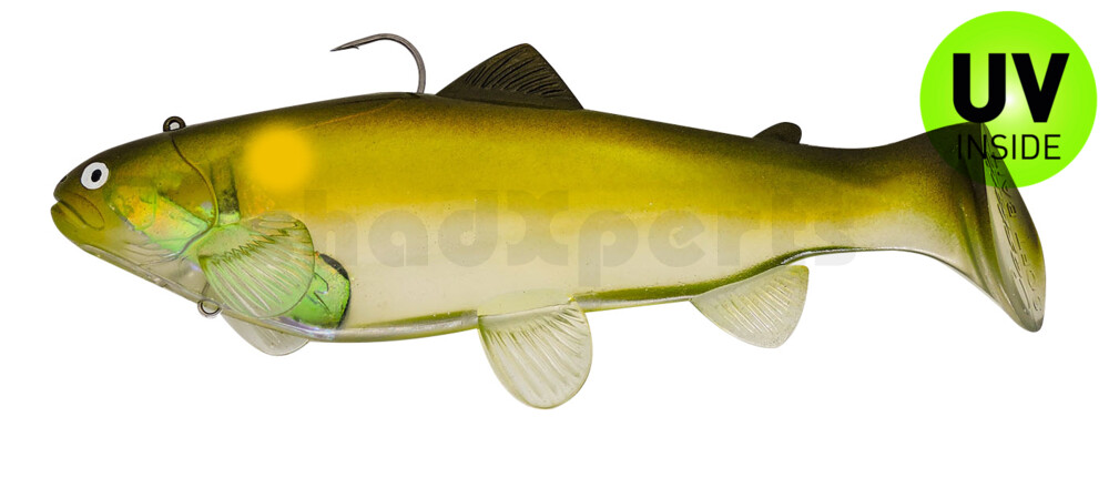 SBT25GA Castaic Swim Bait Trout 2.0 - 10" (25cm) Fast sinking Ghost AYU